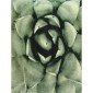 Μαξιλάρι ArteLibre Πράσινο Βελούδο 40x60cm