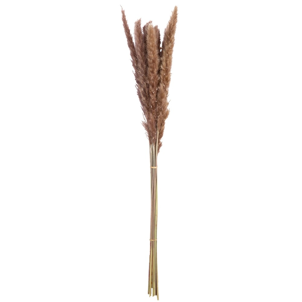 Δέσμη Πάμπας Γρασίδι Συνθετικό Καφέ 70cm