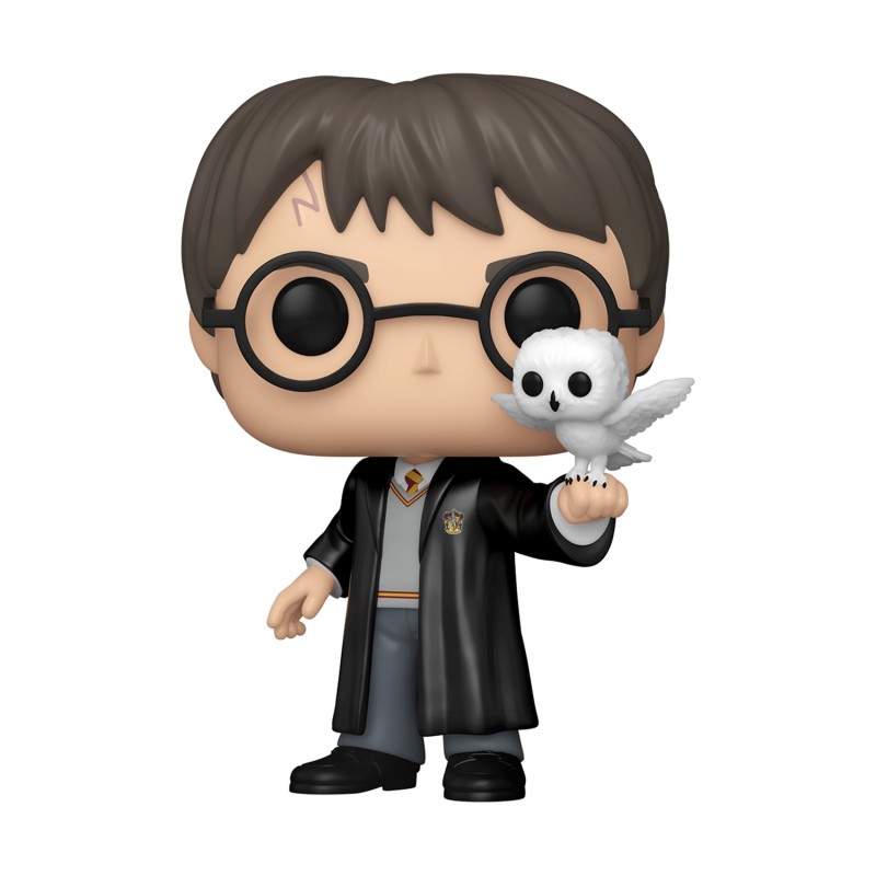 Funko Pop!&amp; Buddy: Harry Potter - Harry Potter with Hedwig (Special Edition) #197 Vinyl Figure