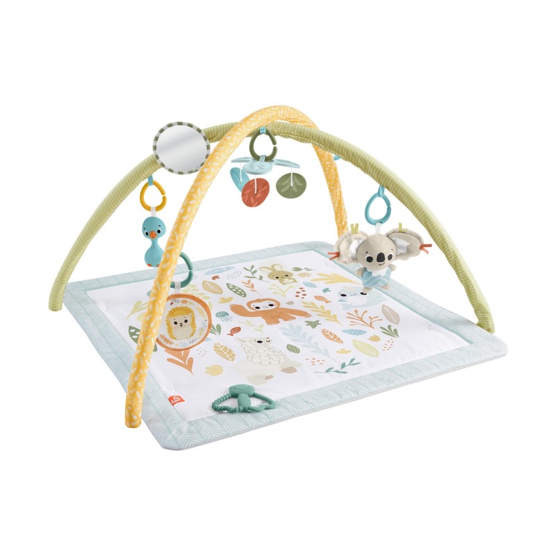 Fisher-Price: Simple Senses - Newborn Gym (JMN74)