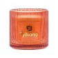 ΑΡΩΜΑΤΙΚΟ ΚΕΡΙ "Apple white musk " Fylliana FL25245 ΣΕ ΓΥΑΛΙΝΟ ΒΑΖΑΚΙ 400gr ΚΑΙ ΣΥΣΚΕΥΑΣΙΑ ΔΩΡΟΥ