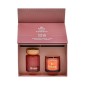 ΑΡΩΜΑΤΙΚΟ ΣΕΤ ΔΩΡΟΥ "Apple white musk " Fylliana FL25161 (Διαχύτης 150ml + Κερί 150g)
