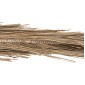 ΔΙΑΚΟΣΜΗΤΙΚΟ ΔΕΝΤΡΟ TROPIC HM4323 τ.ΦΟΙΝΙΚΑ ΑΠΟ MENDONG GRASS 310Yεκ.