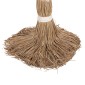 ΔΙΑΚΟΣΜΗΤΙΚΟ ΔΕΝΤΡΟ TROPIC HM4323 τ.ΦΟΙΝΙΚΑ ΑΠΟ MENDONG GRASS 310Yεκ.