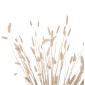 ΔΙΑΚΟΣΜΗΤΙΚΟ ΜΠΟΥΚΕΤΟ ΑΠΟΞΗΡΑΜΕΝΟ HM7959 RABBIT TAIL- CREAM 50gr 76Υεκ.