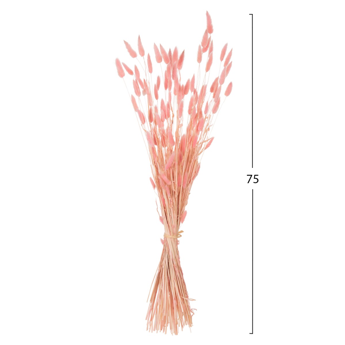 ΔΙΑΚΟΣΜΗΤΙΚΟ ΜΠΟΥΚΕΤΟ ΑΠΟΞΗΡΑΜΕΝΟ HM7960 RABBIT TAIL-PINK 75Υεκ.