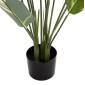 ΔΙΑΚΟΣΜΗΤΙΚΟ ΣΥΝΘΕΤΙΚΟ ΦΥΤΟ HM7997 CALATHEA ΣΕ ΓΛΑΣΤΡΑ 140Υεκ.