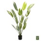 ΔΙΑΚΟΣΜΗΤΙΚΟ ΣΥΝΘΕΤΙΚΟ ΦΥΤΟ HM7997 CALATHEA ΣΕ ΓΛΑΣΤΡΑ 140Υεκ.