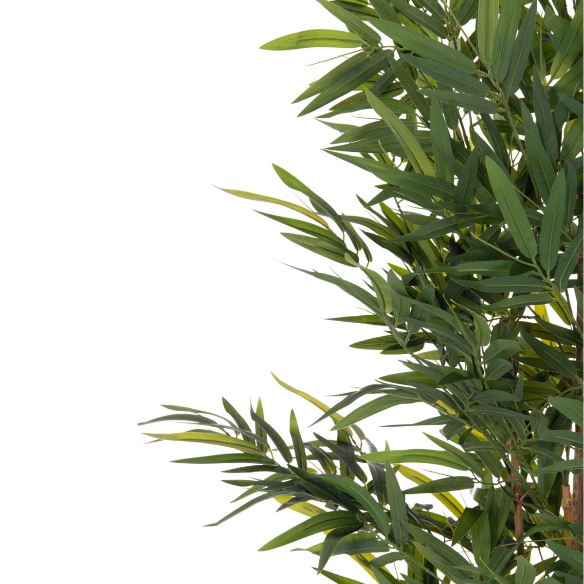 ΔΙΑΚΟΣΜΗΤΙΚΟ ΣΥΝΘΕΤΙΚΟ ΦΥΤΟ HM4737 BAMBOO ΣΕ ΓΛΑΣΤΡΑ 20x95x200Υεκ.