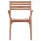 ΠΟΛΥΘΡΟΝΑ ΕΞΩΤ.ΧΩΡΟΥ ERMIONI HM18129 ΞΥΛΟ TEAK--ΦΥΣΙΚΟ ΧΡΩΜΑ 60x59x84Υεκ.