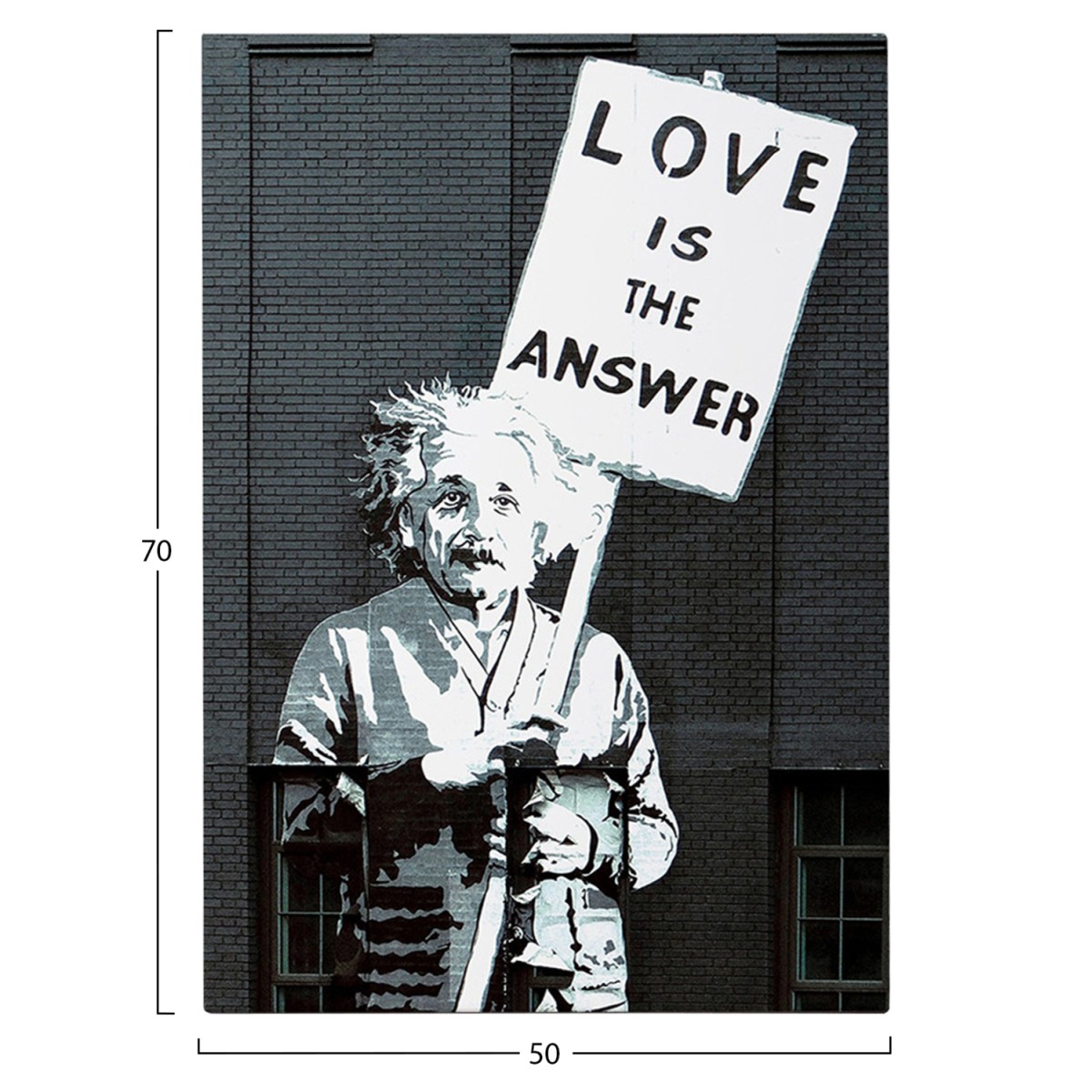 ΠΙΝΑΚΑΣ TOIXOY ΣΕΙΡΑ GOBI HM4818 ΕΚΤΥΠΩΜΕΝΟΣ ΚΑΜΒΑΣ 50x3(πάχος)x70Yεκ.