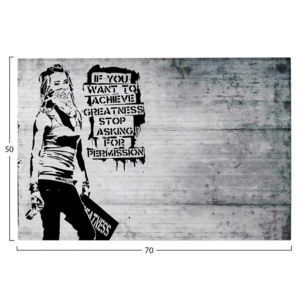 ΠΙΝΑΚΑΣ TOIXOY ΣΕΙΡΑ GOBI HM4831 ΕΚΤΥΠΩΜΕΝΟΣ ΚΑΜΒΑΣ 70x3(πάχος)x50Yεκ.