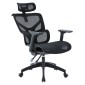 ΚΑΡΕΚΛΑ ΓΡΑΦΕΙΟΥ APEX HM1227.01 ΜΑΥΡO MESH & PP 68x68x120-130Υεκ