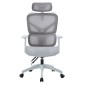 ΚΑΡΕΚΛΑ ΓΡΑΦΕΙΟΥ APEX HM1227.02 ΛΕΥΚΟ PP--ΑΝΟΙΧΤΟ ΓΚΡΙ MESH 68x68x120-130Υεκ