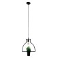 GloboStar® FLOWERPOT 10001209 Μοντέρνο Κρεμαστό Φωτιστικό Ανάρτηση Μονόφωτο 1 x E27 IP20 Μαύρο Μέταλλο με Πράσινο Πλαστικό - Μ34 x Π34 x Y34cm