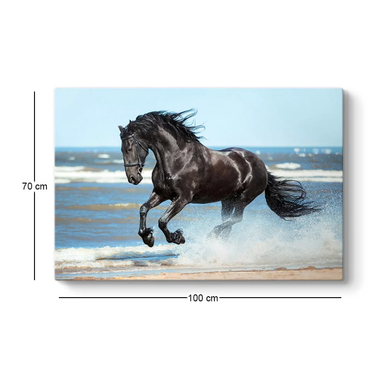 Πίνακας σε καμβά "Black Horse" Megapap ψηφιακής εκτύπωσης 100x70x3εκ.