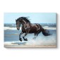 Πίνακας σε καμβά "Black Horse" Megapap ψηφιακής εκτύπωσης 100x70x3εκ.