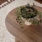 Τραπέζι σαλονιού Tabletod pakoworld σε καρυδί απόχρωση 119x60x40εκ