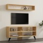Σύνθετο σαλονιού Prestige pakoworld σε oak απόχρωση 120x29,6x50εκ