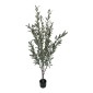 Διακοσμητικό φυτό Olive tree II σε γλάστρα Inart πράσινο pp Υ160εκ