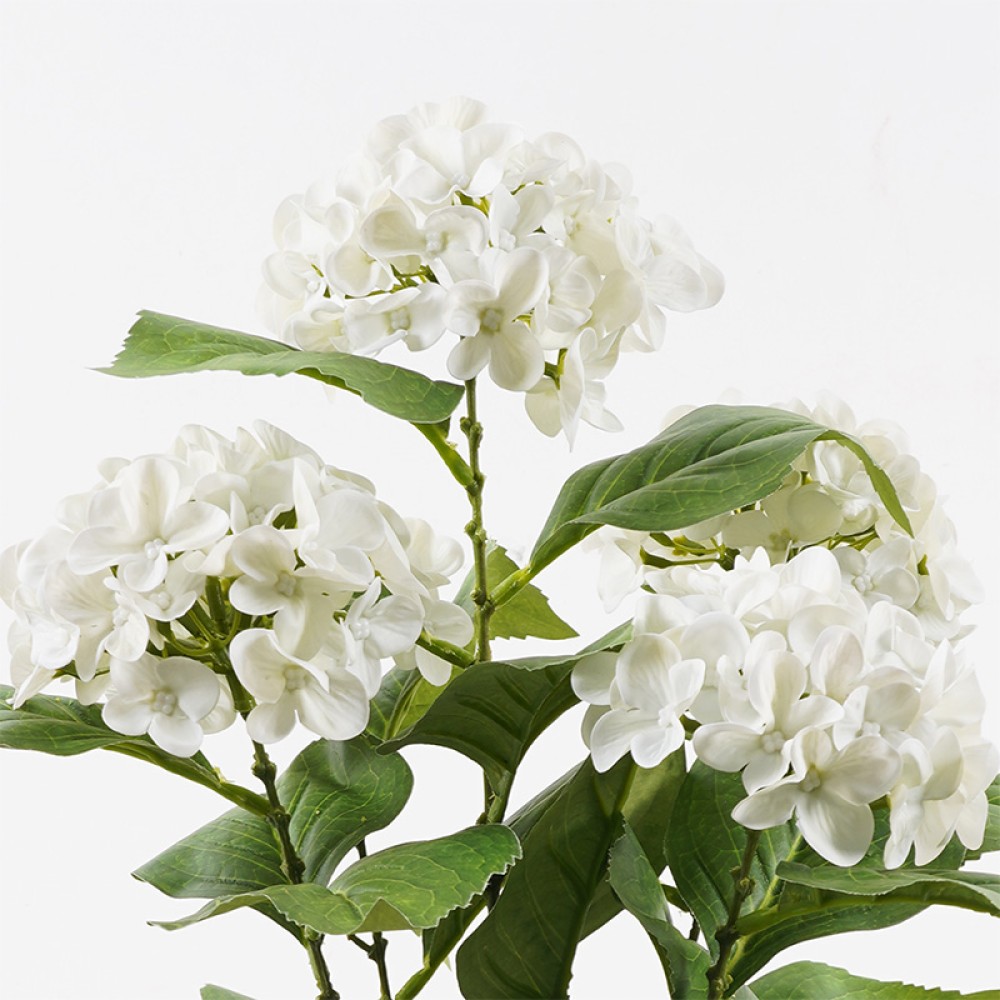 Διακοσμητικό φυτό σε γλάστρα Hydrangea Inart λευκό Φ35x50εκ