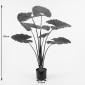 Διακοσμητικό φυτό σε γλάστρα Alocasia Inart πράσινο Φ90x120εκ
