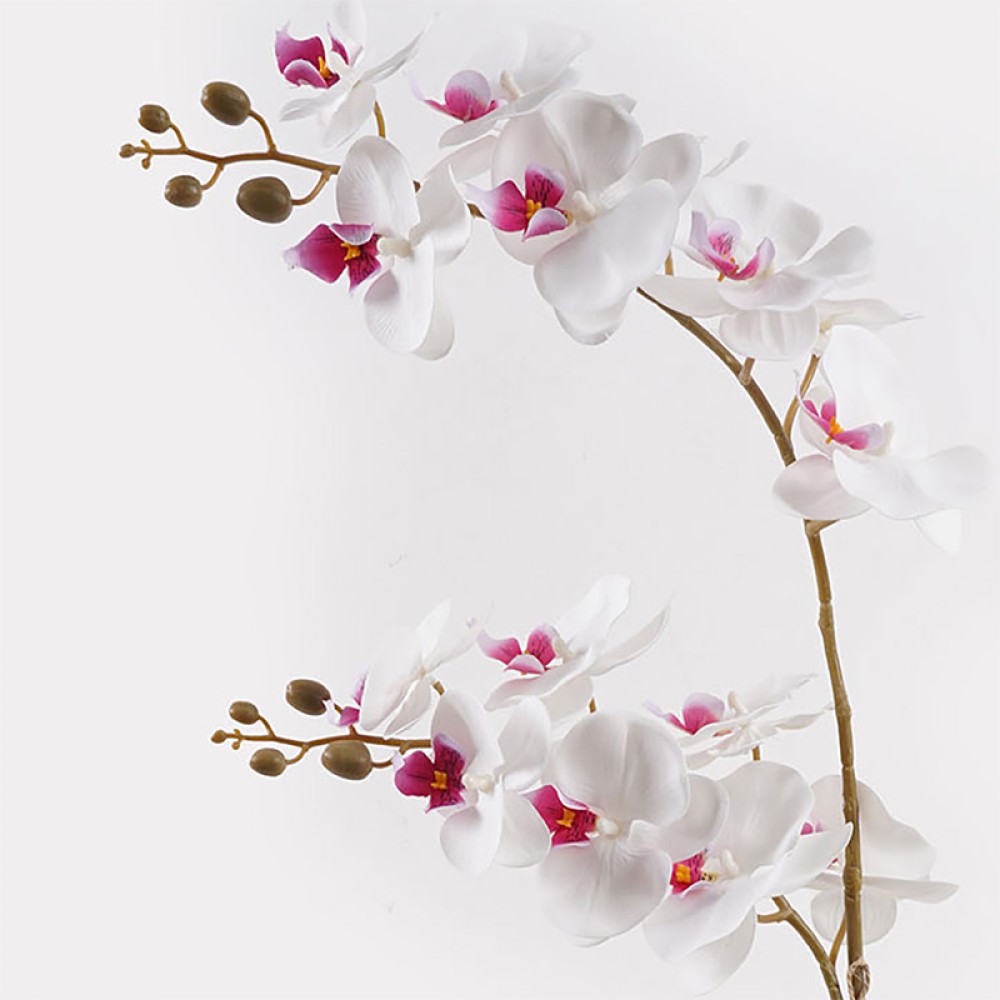 Διακοσμητικό φυτό σε γλάστρα Οrchid White Inart 36x17x65εκ