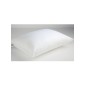 MICROFIBER ΜΑΞΙΛΑΡΙ 50Χ70